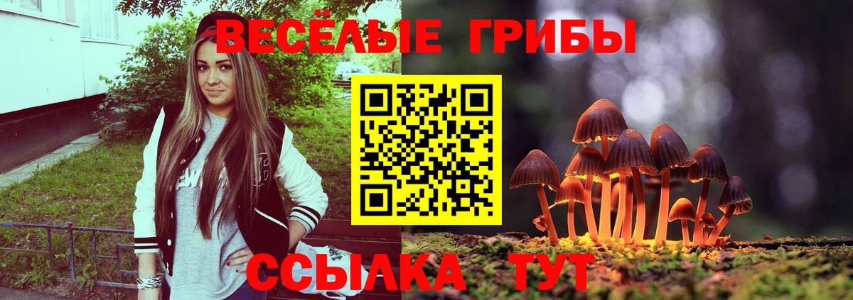 Псилоцибиновые грибы прущие грибы Воронеж